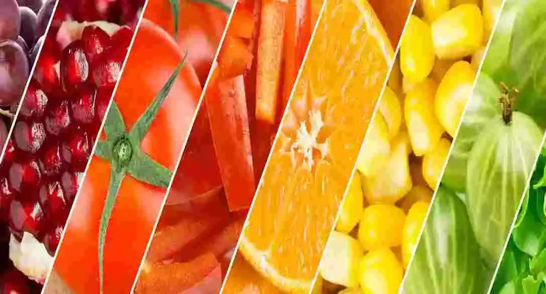 MANIPULADOR DE ALIMENTOS ONLINE + ALÉRGENOS